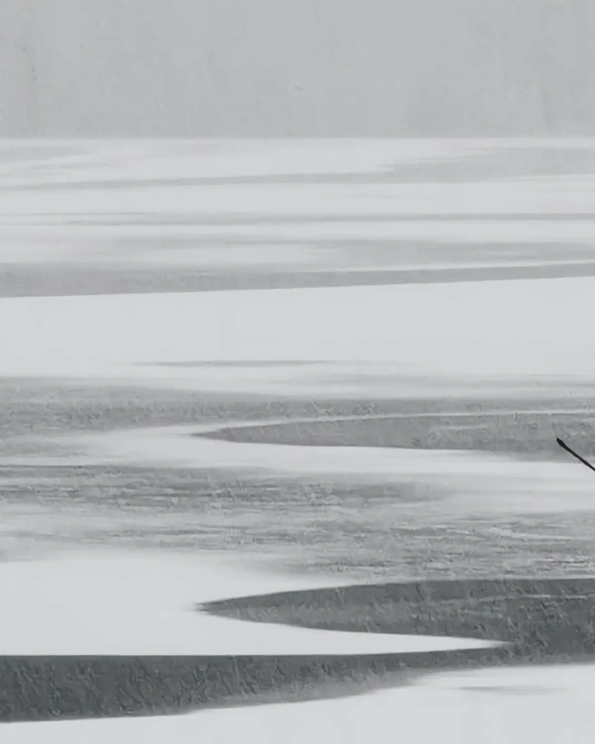 Photo 95